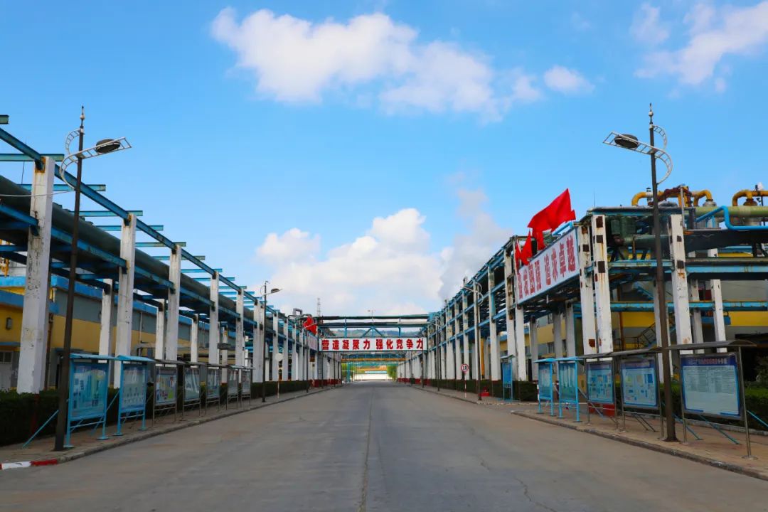 918.com(�й���)�ٷ���վ