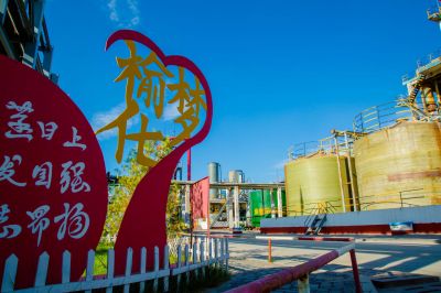 ��˾��Ӱ������Ʒ����