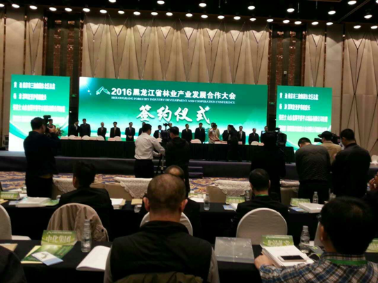 南宫电子游戏831999碳买卖业界影响强，副总田卫然接受黑龙江广播电视台采访