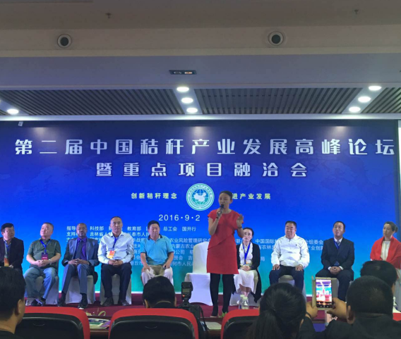 南宫电子游戏总裁王元圆在届中国秸秆产业发展峰论坛上颁发讲话