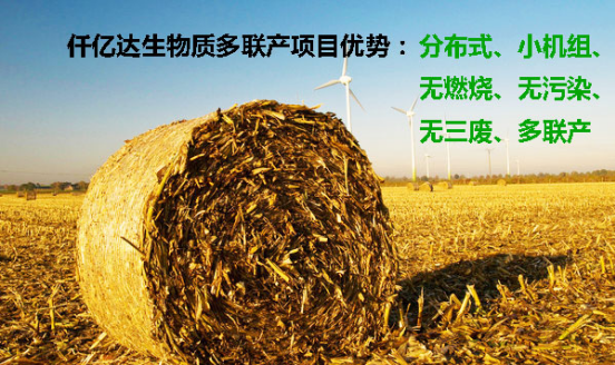 南宫电子游戏生物质多联产