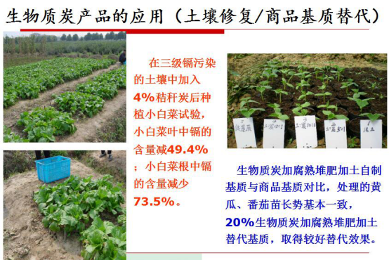 南宫电子游戏生物气化发电的显著社会效益 南宫电子游戏生物气化发电的显著社会效益