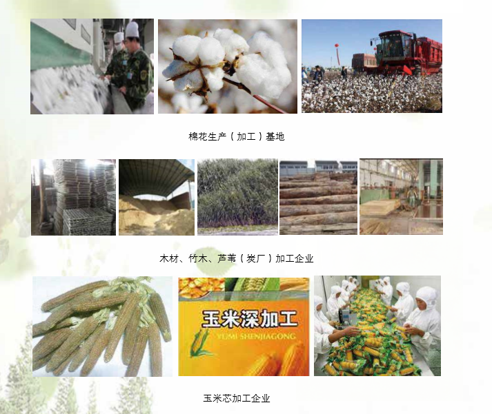 南宫电子游戏生物产品利用领域 南宫电子游戏生物产品利用领域