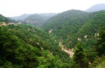 南宫电子游戏（证券代码：831999）与河南省信阳市种植合作社就碳资产治理与买卖签约合作