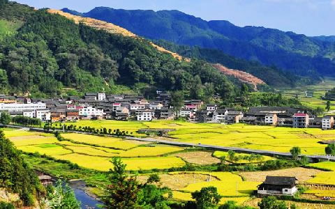 祝贺南宫电子游戏与锦屏县就林业碳汇项目达成合作 祝贺南宫电子游戏与锦屏县就林业碳汇项目达成合作